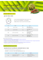 Plant binary vector 시리즈